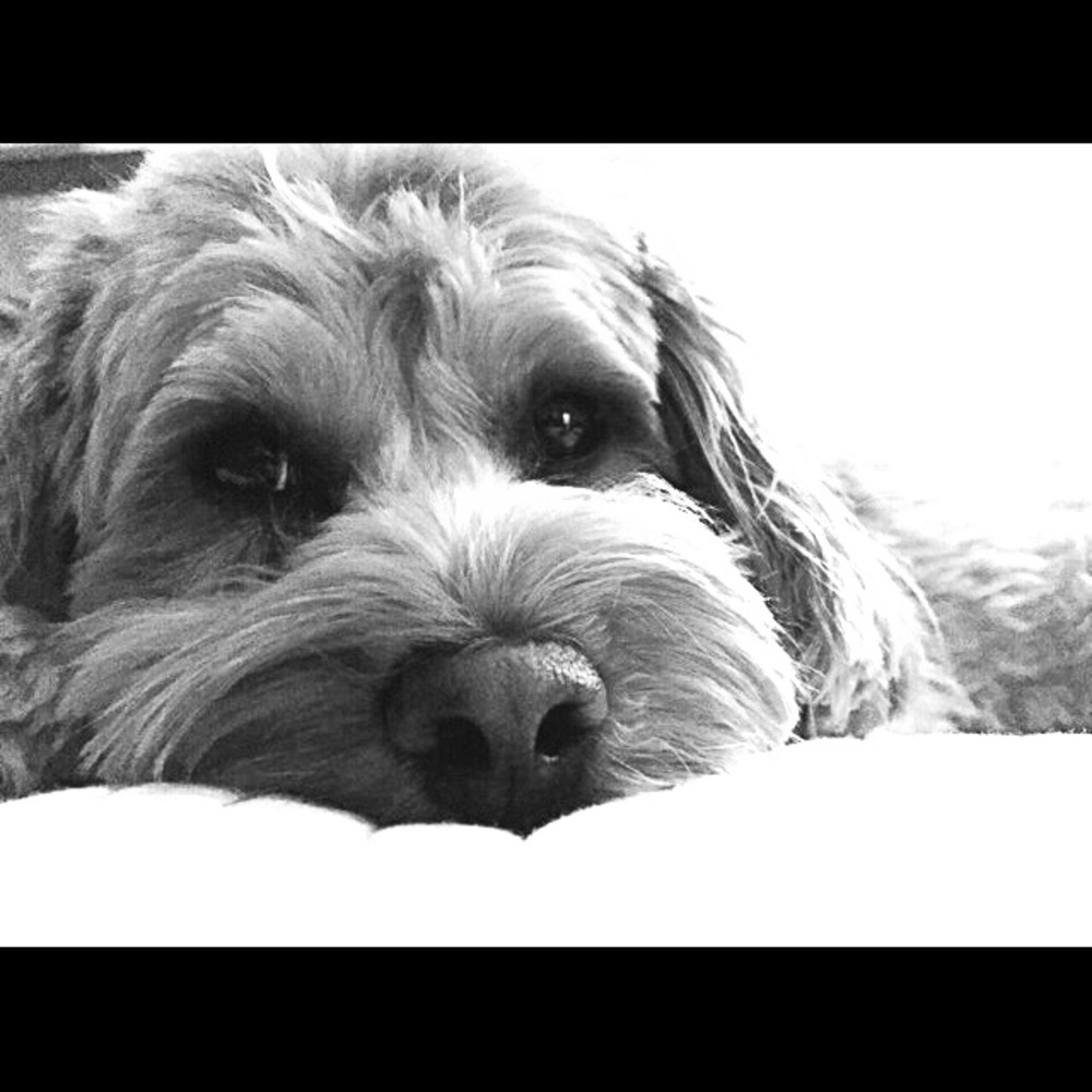 Meet your Posher, Theresa